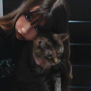 Meet your Posher, Ashlyn